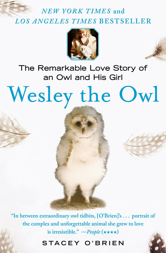 Wesley the Owl - Agricola Street Books