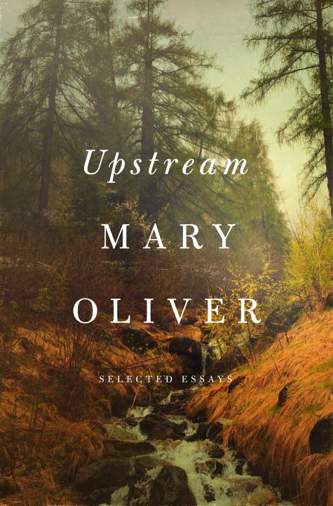 Upstream - Agricola Street Books