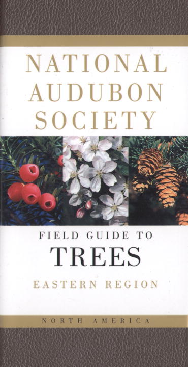 Field Guide to North American Trees: Eastern Region - Agricola Street Books
