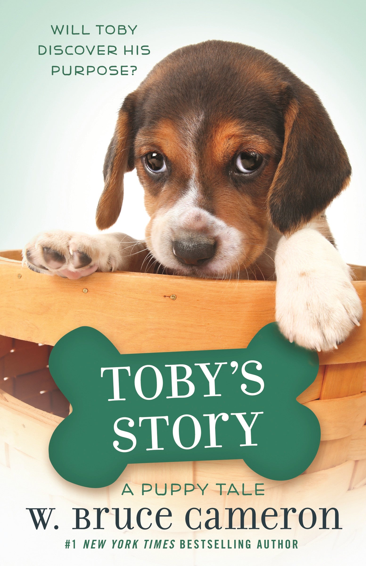 Toby's Story - Agricola Street Books