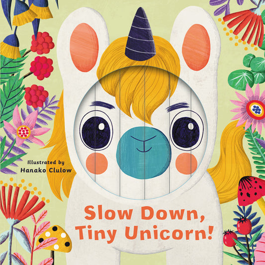 Little Faces: Slow Down, Tiny Unicorn! - Agricola Street Books