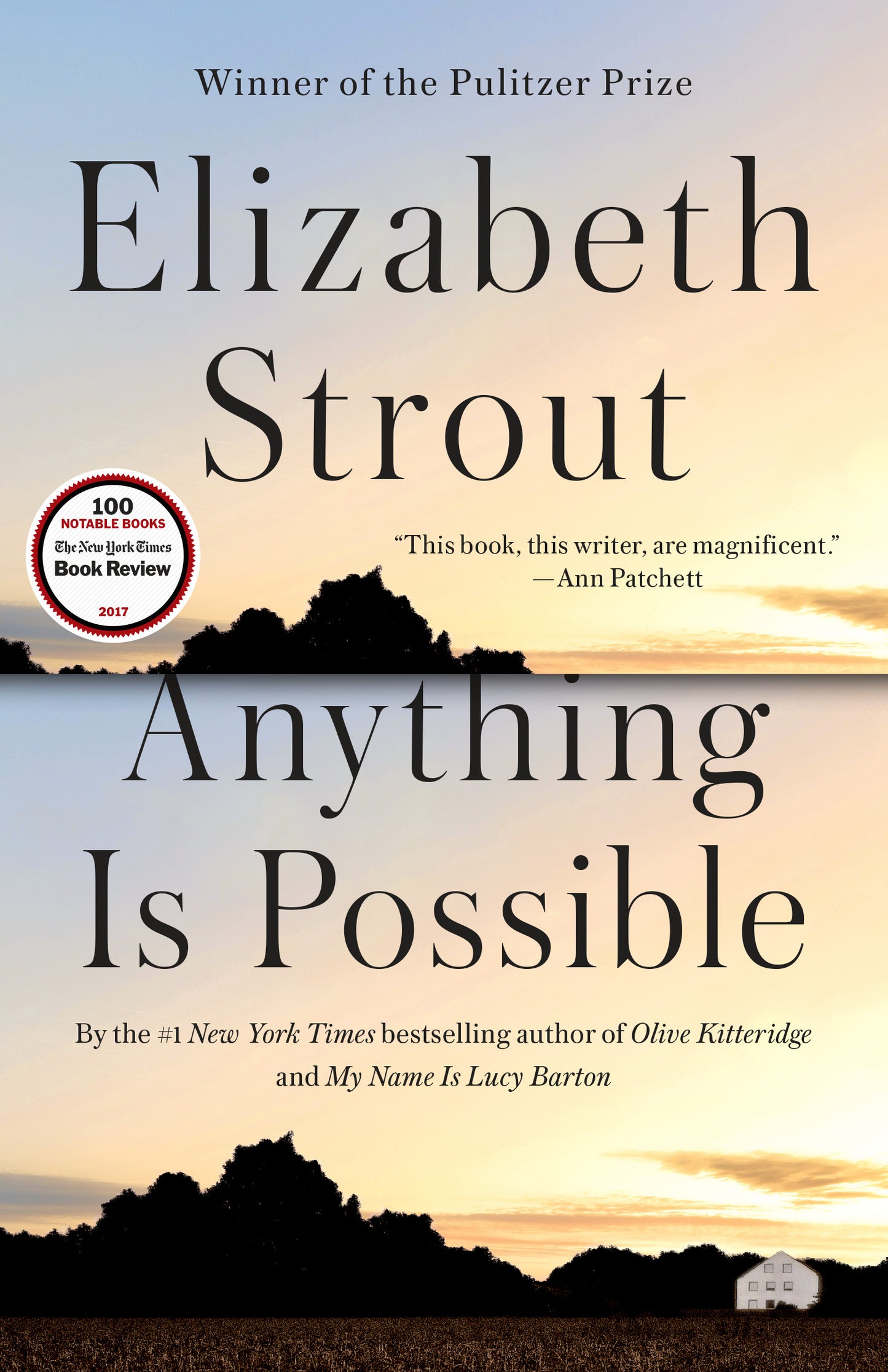 Anything Is Possible - Agricola Street Books