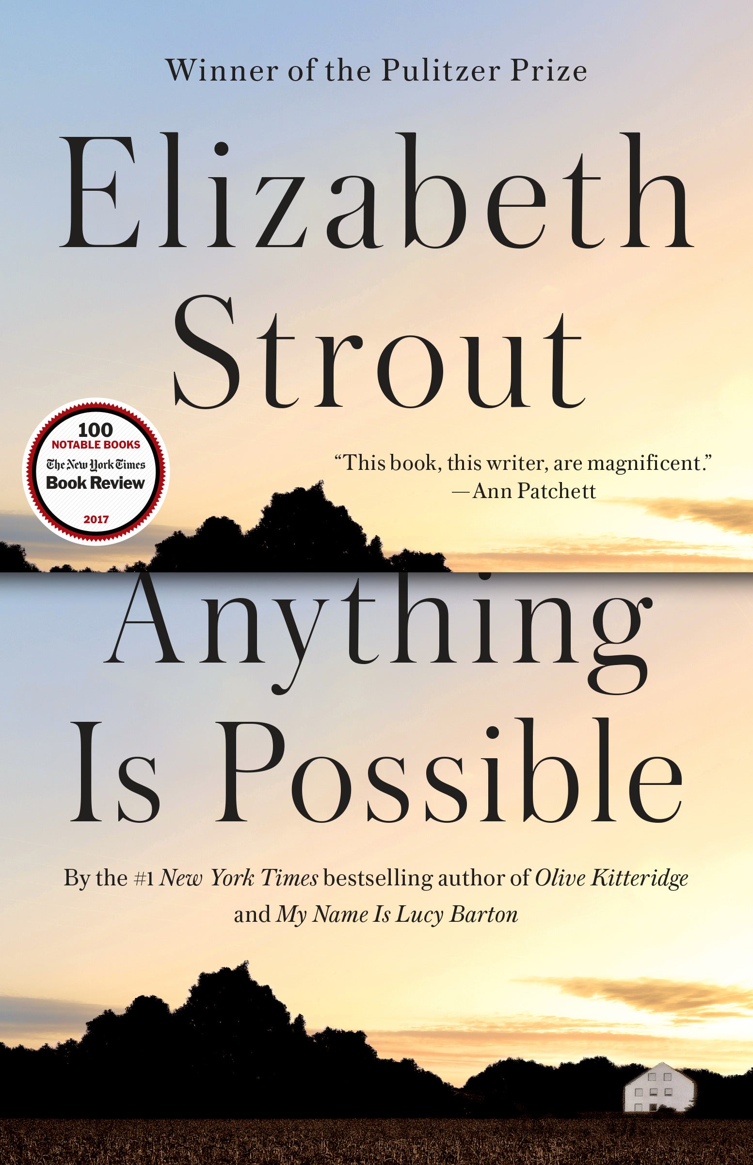 Anything Is Possible - Agricola Street Books