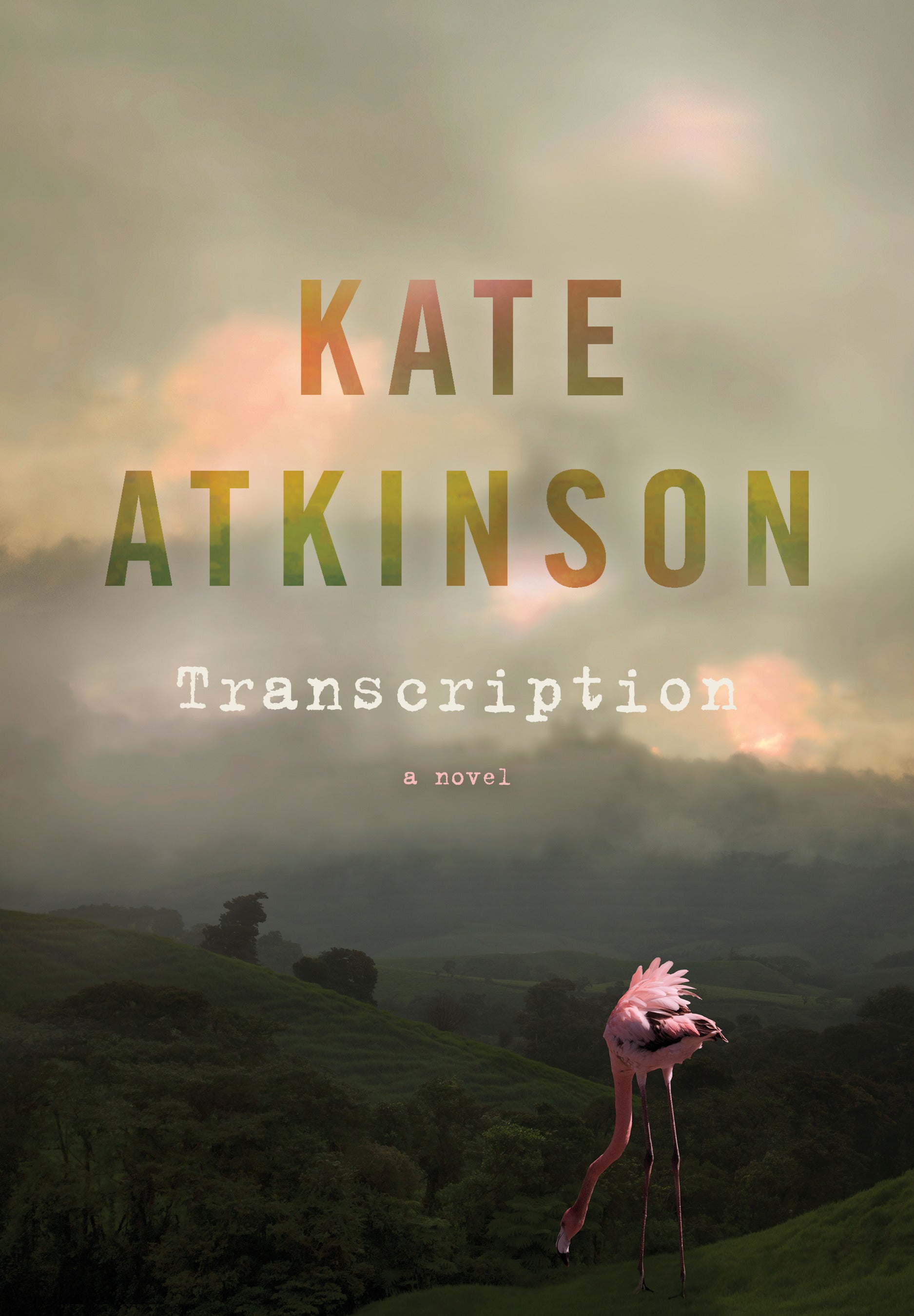 Transcription - Agricola Street Books
