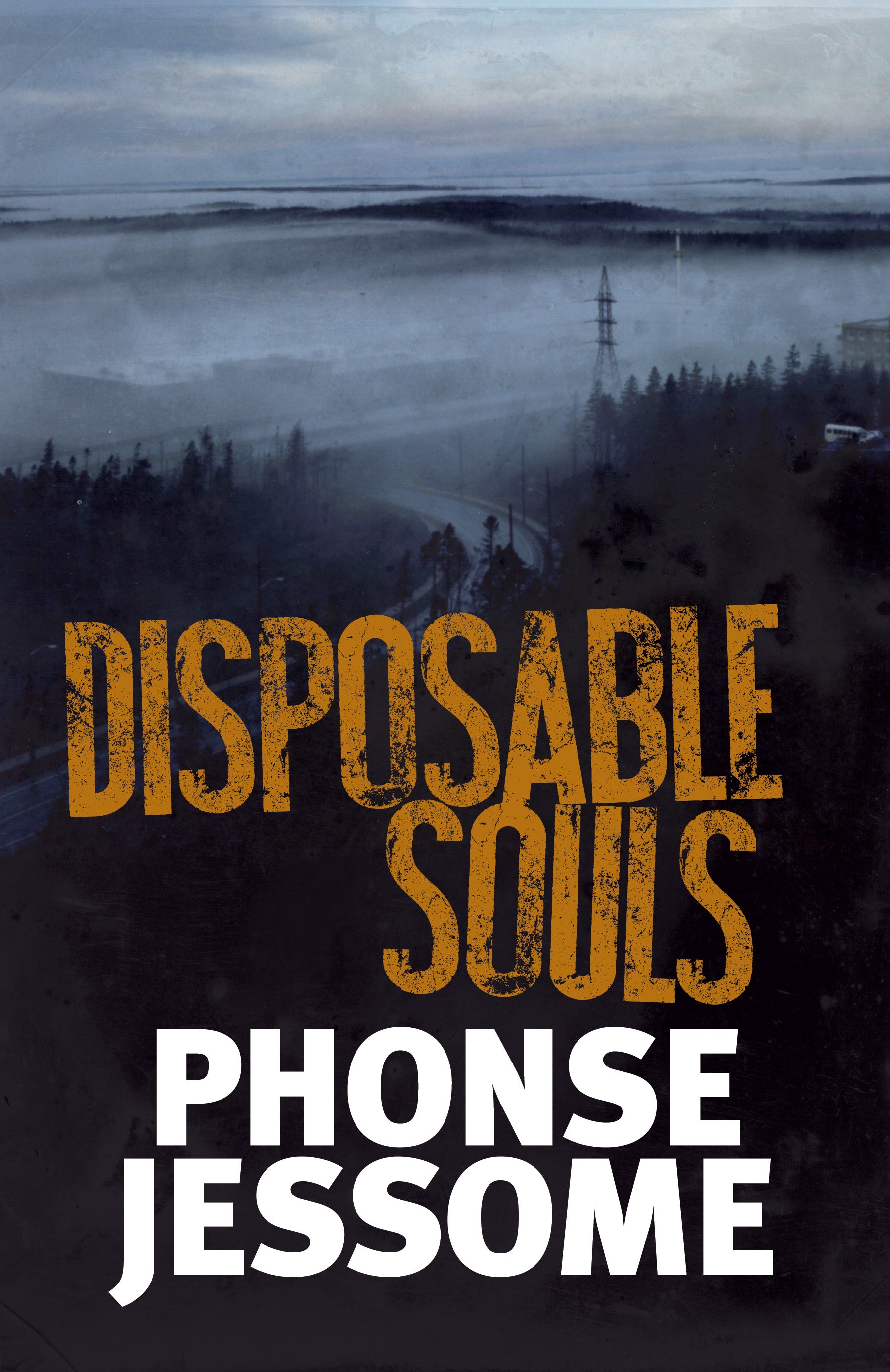 Disposable Souls - Agricola Street Books