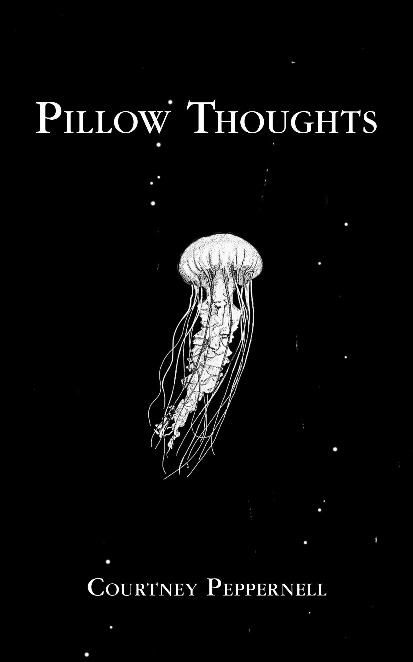 Pillow Thoughts - Agricola Street Books