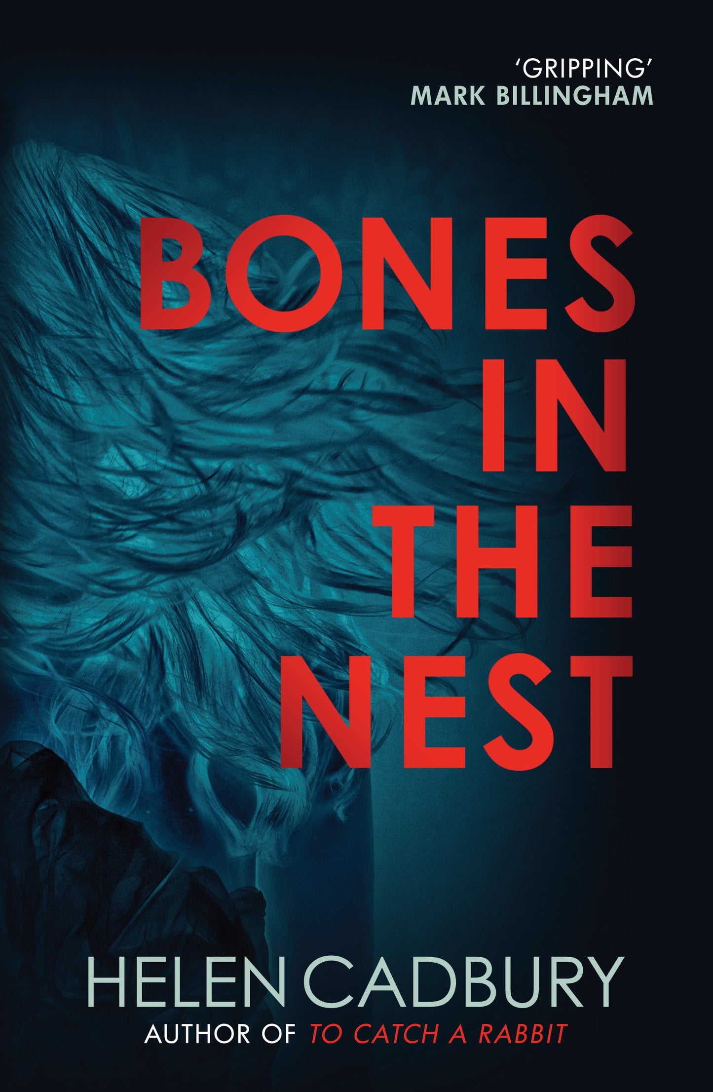 Bones in the Nest - Agricola Street Books