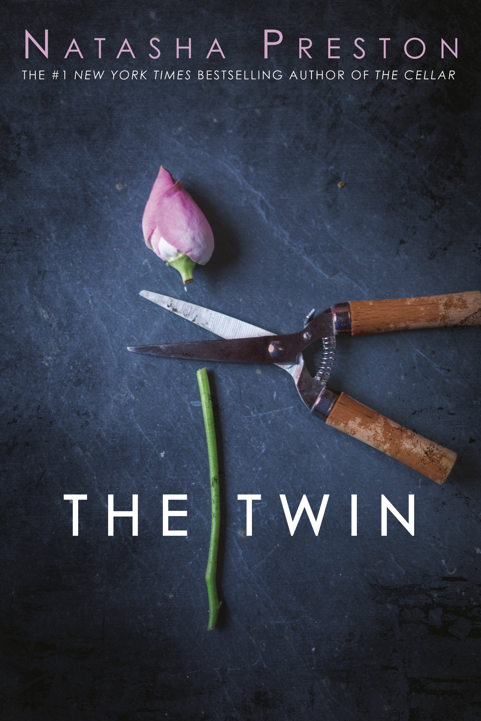 The Twin - Agricola Street Books