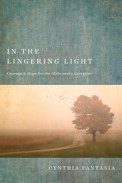 In the Lingering Light - Agricola Street Books