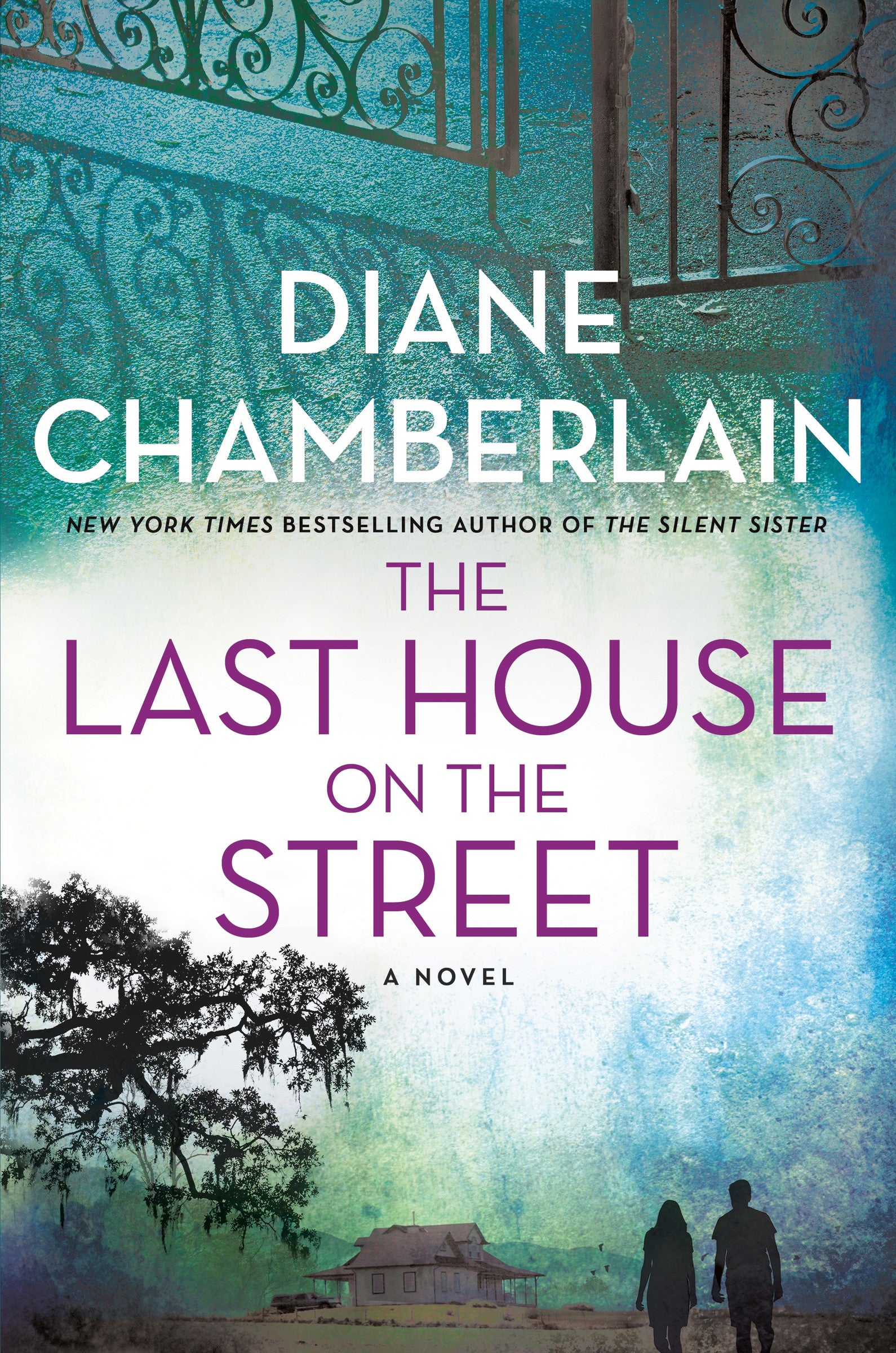 The Last House on the Street - Agricola Street Books