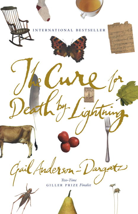 The Cure For Death By Lightning - Agricola Street Books