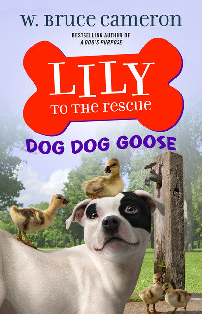 Lily to the Rescue: Dog Dog Goose - Agricola Street Books
