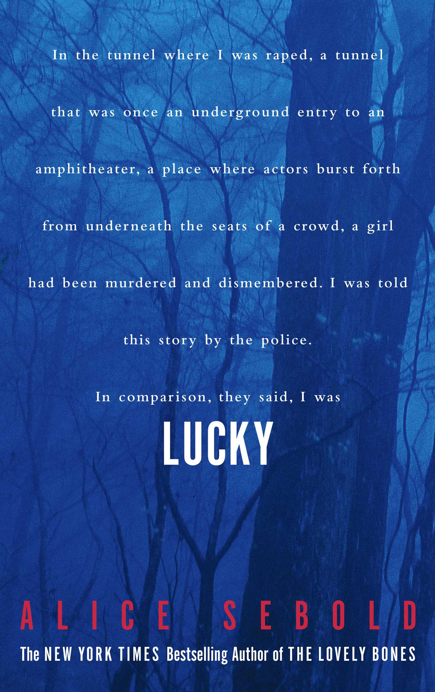 Lucky - Agricola Street Books