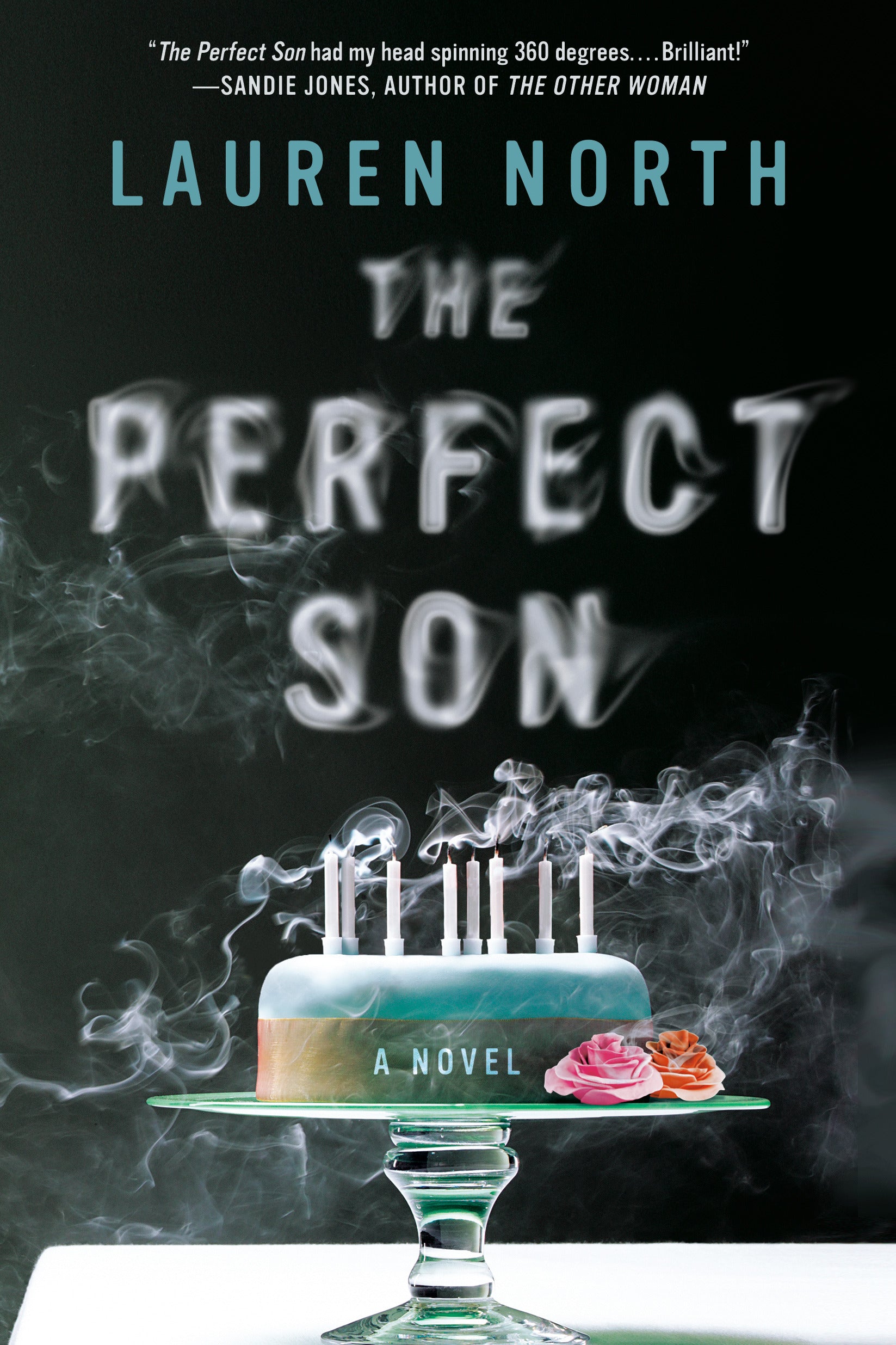 The Perfect Son - Agricola Street Books