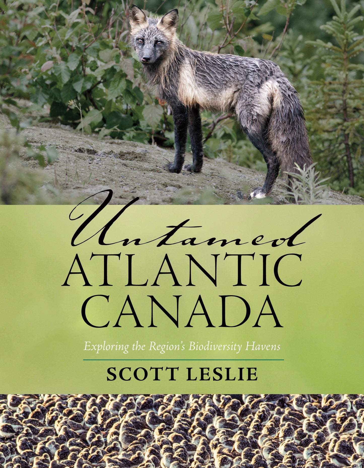 Untamed Atlantic Canada - Agricola Street Books