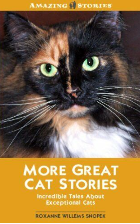 More Great Cat Stories-Incredible Tales About Exceptional Cats - Agricola Street Books