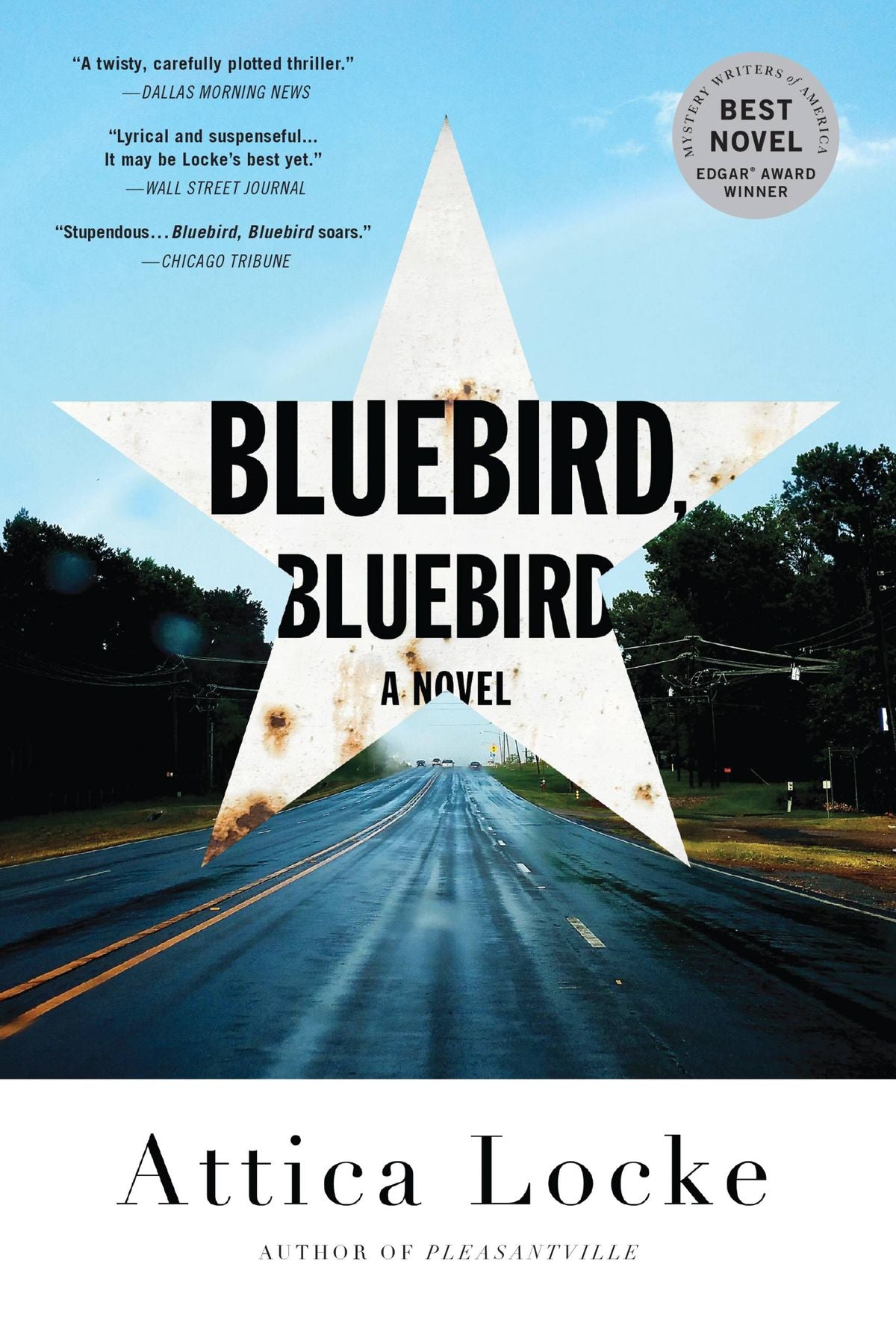 Bluebird, Bluebird - Agricola Street Books