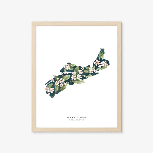 Natasha Vanderburg Co. - Nova Scotia Mayflower Art Print