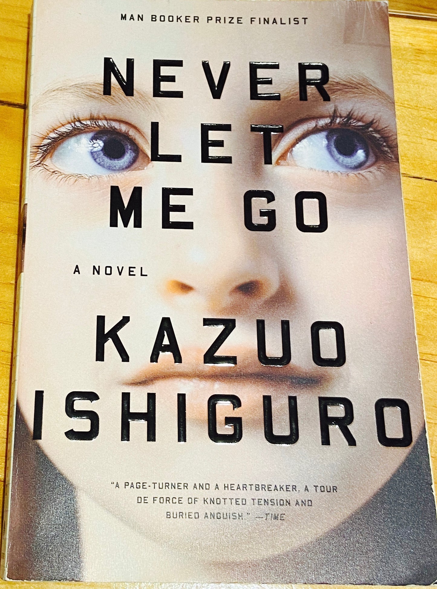 Never Let Me Go - Agricola Street Books