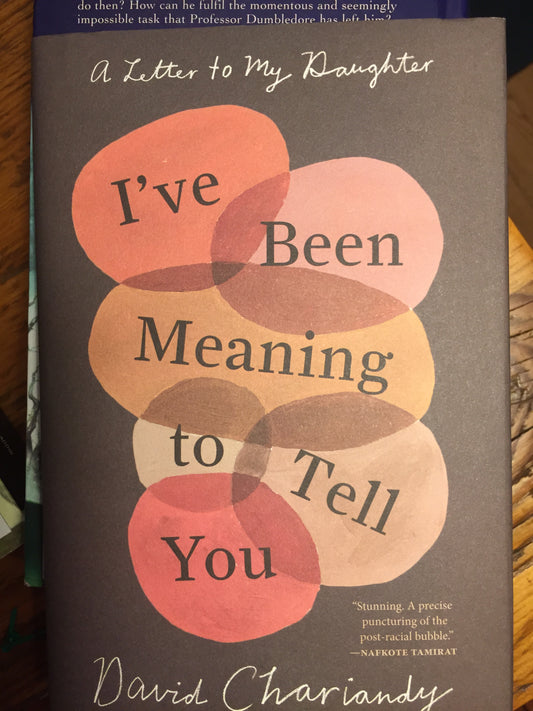 I've Been Meaning to Tell You: A Letter to My Daughter - Agricola Street Books